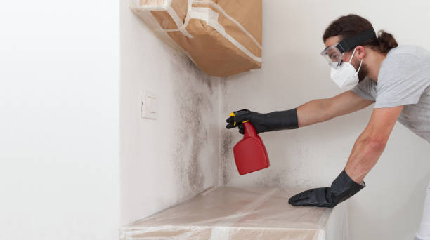 Professional Bathroom Mold Removal technician working in Happy Valley, OR