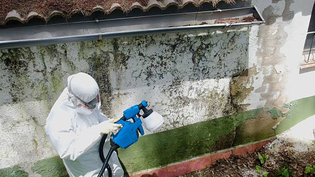 Top rated local Bathroom Mold Removal specialists in Happy Valley, OR